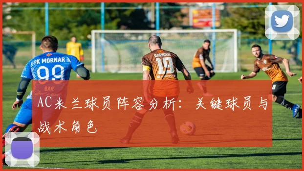 AC米兰球员阵容分析:关键球员与战术角色