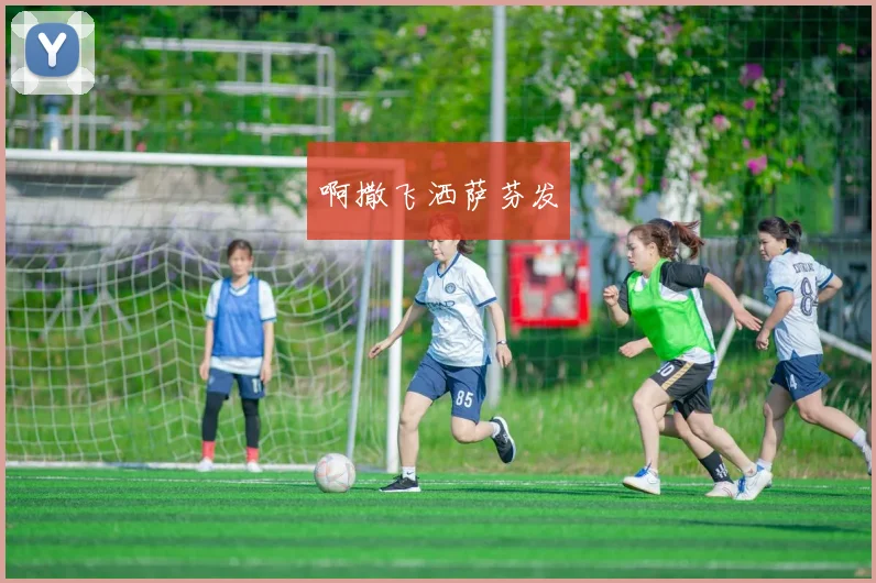 CBA主教练战术解析：杜锋、杨鸣等名帅风格盘点